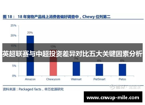 英超联赛与中超投资差异对比五大关键因素分析 英超联赛与中超投资差异对比五大关键因素分析