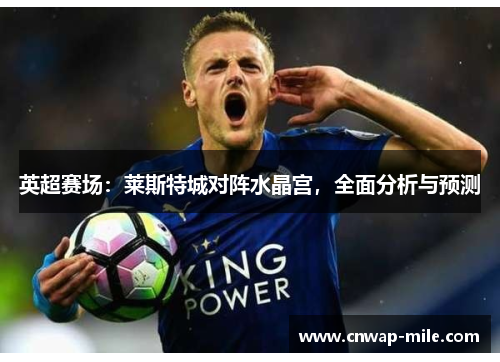 英超赛场：莱斯特城对阵水晶宫，全面分析与预测