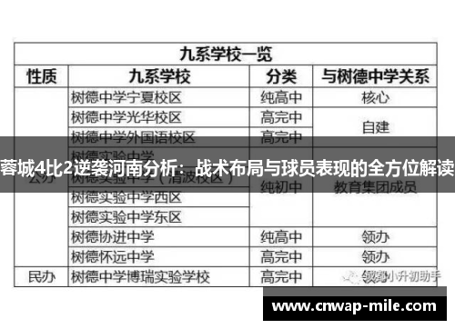蓉城4比2逆袭河南分析：战术布局与球员表现的全方位解读