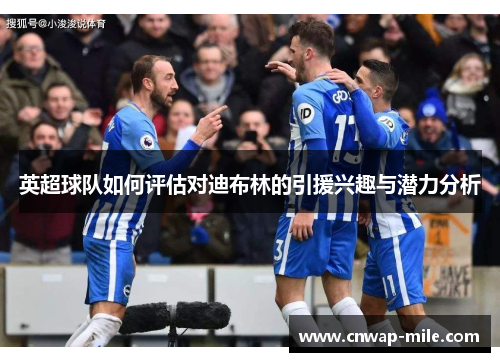 英超球队如何评估对迪布林的引援兴趣与潜力分析