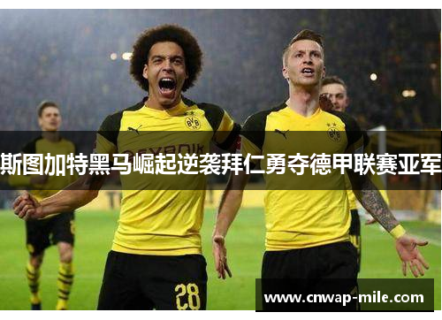 斯图加特黑马崛起逆袭拜仁勇夺德甲联赛亚军 斯图加特黑马崛起逆袭拜仁勇夺德甲联赛亚军